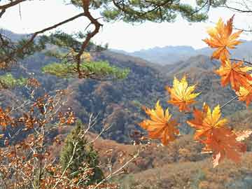 购买打胎药要满18岁吗吃打胎药流血少正常吗（吃打胎药流血少正常吗图片）